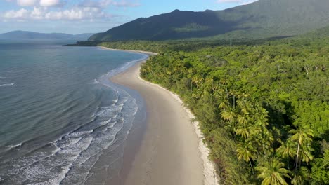 cape tribulation aerial of sunny myall beach with palm trees, in daintree rainforest, queensland, australia