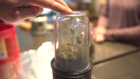 cannabis processed finely in production of medicinal remedies - close up shot