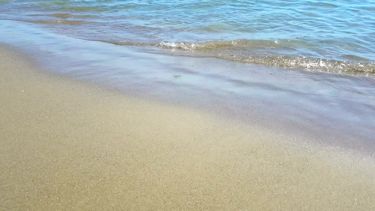 열대 카리브 해 해변, 황금 모래의 바다, 휴가, 휴식 및 여행 개념, 원활한 루프