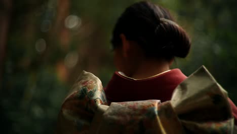 woman in traditional japanese kimono