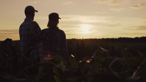 a pair of farmers looks at their field and hug