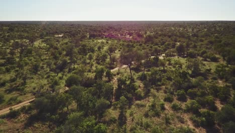 un vehículo de safari conduciendo en el sol caliente de la tarde en áfrica