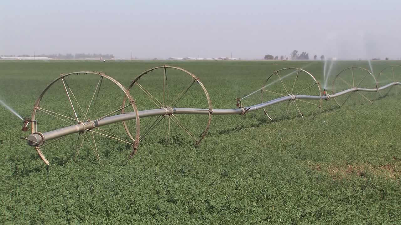 aspersor de riego en el sur de california, ee.uu.