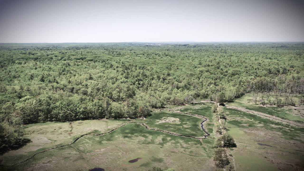 Monochrome drone video soaring above Maine’s swampy forest. Wild trees, creeks, rivers, and ponds in black and white show the wetland’s rugged jungle wilderness under summer daylight