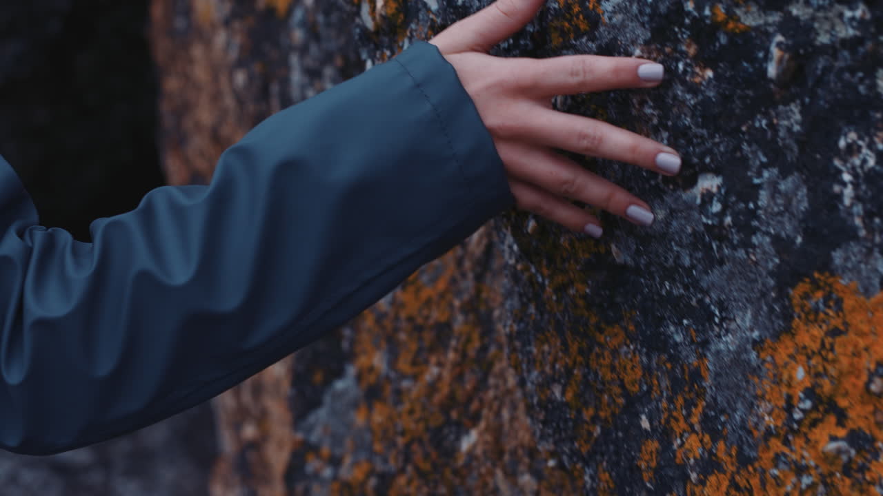 가까운 여성의 손이 바위를 만지고 해변을 탐험하고 모험을 즐기고 있습니다.
