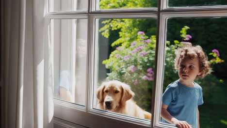 young boy and golden retriever look out window