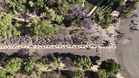 drone footage showcases the women's day march on avenida reforma under a warm sun