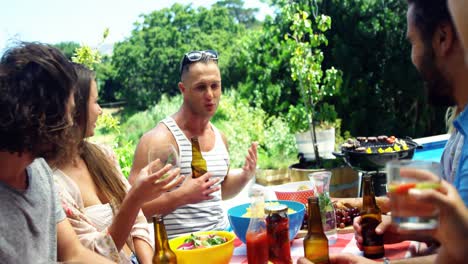 group of friends interacting with each other while having drink at outdoors barbecue party