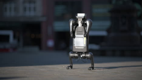 robot dog stands on its hind legs, doing tricks, xiaomi cyberdog