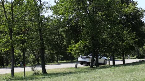 white car driving on road behind trees on sunny day