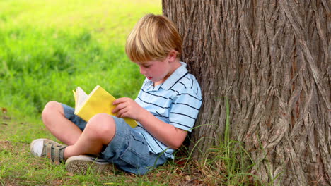 Niño-Leyendo-Un-Libro-