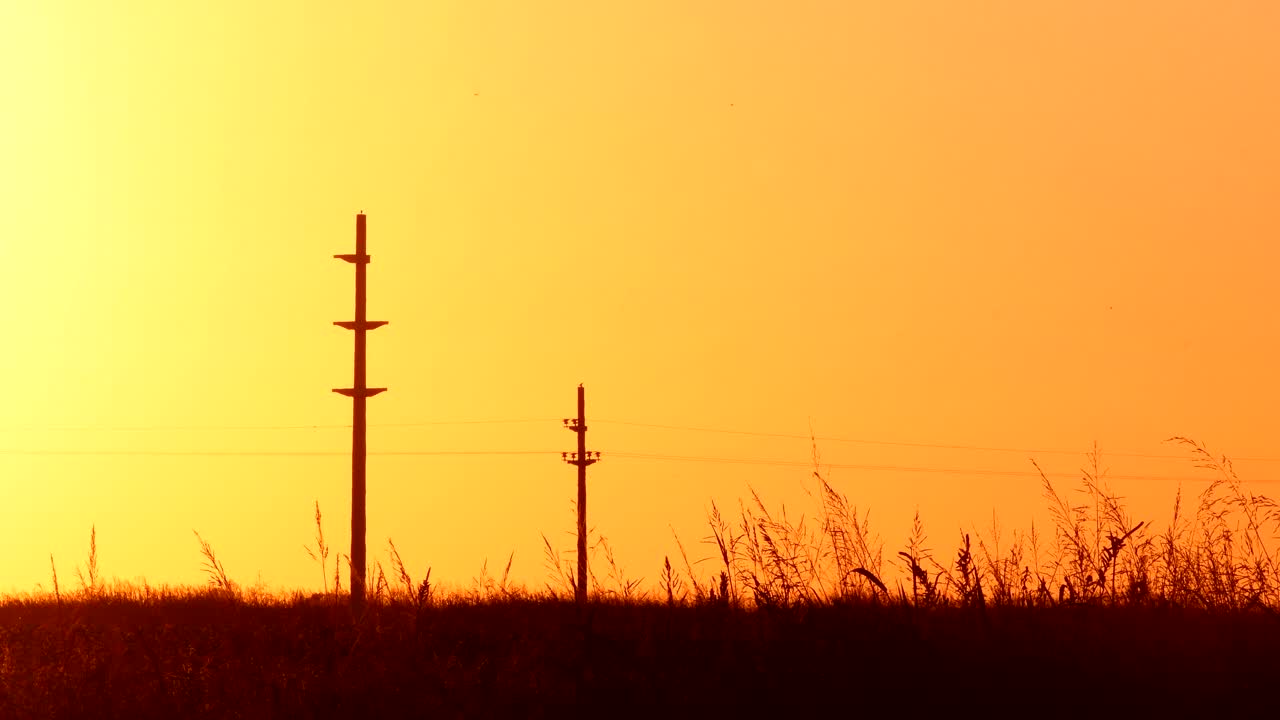 Silhouette Of Electrical Power Lines On Fiery Sunset In Firmat Santa Fe, Argentina- wide shot