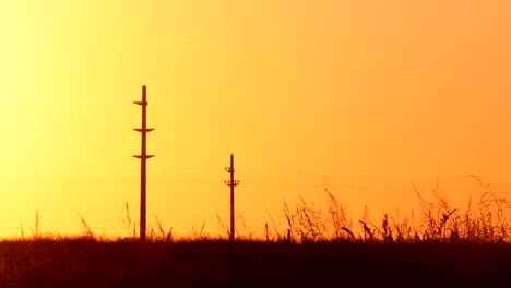 silhouette of electrical power lines on fiery sunset in firmat santa fe, argentina- wide shot