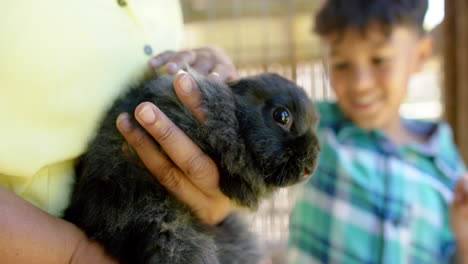 happy biracial grandmother and grandson holding and petting rabbits, slow motion