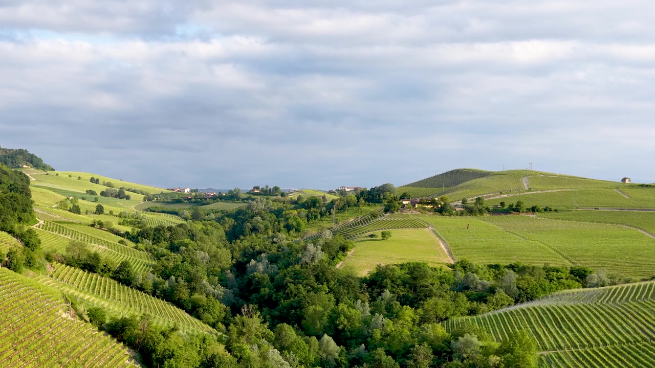 Riprese con drone mostrano gli estesi vigneti verdi e le dolci colline del Piemonte rurale, Italia.