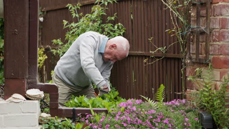 Senior man gardening in his backyard