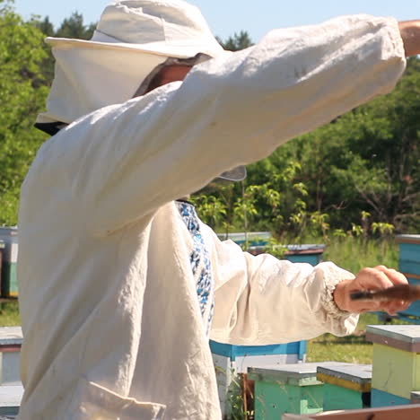 beekeeper works on an apiary, an open beehive. the bees collect honey. frames of a bee hive. an apiary in the summer.