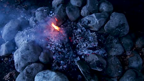 Lagerfeuer-Mit-Der-Natur-Im-Hintergrund