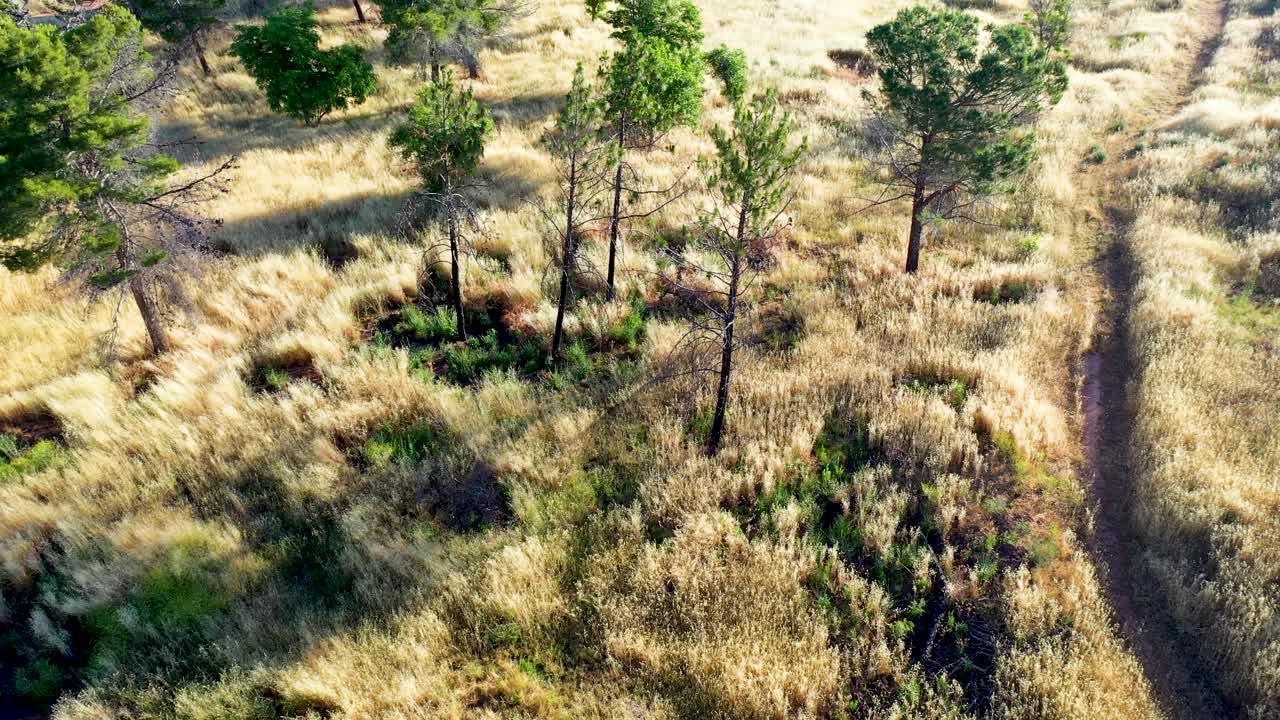 un dron vuela en las montañas cerca de la carretera del lago hughes en castaic, california