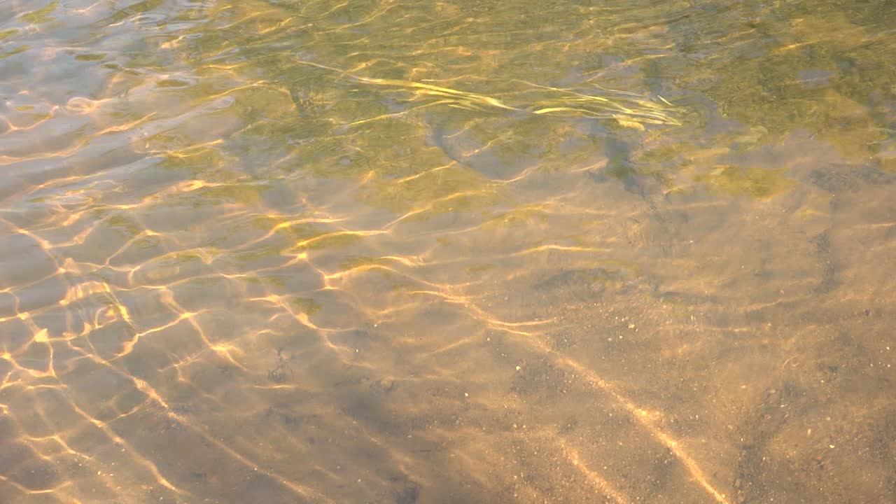 작은 개울이 있는 연어 강-27