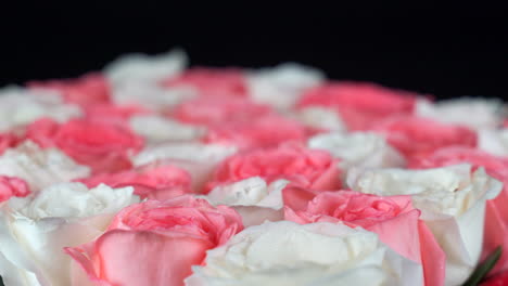 pink and white roses spinning shallow depth of field black background