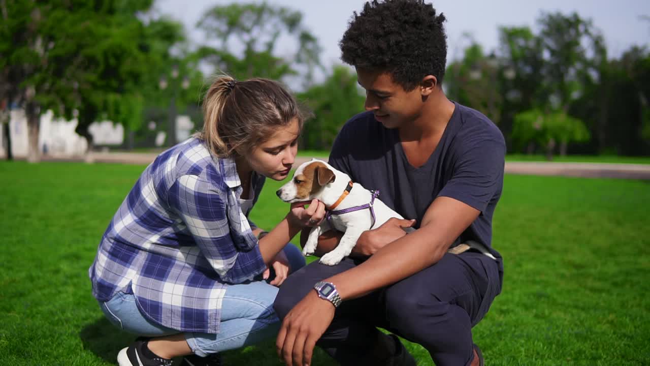 atractiva pareja multiétnica sentada en la hierba verde en el parque disfrutando del día mientras sostiene un lindo pequeño jack russell terrier