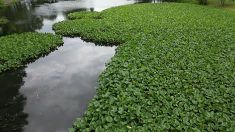 An-aerial-view-over-a-pond-in-Valley-Stream,-NY-with-beautiful-green-landscapes