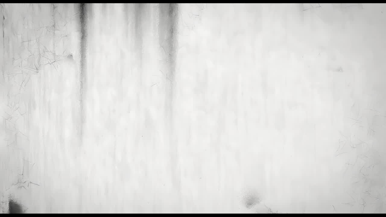 Abstract White and Gray Textured Background