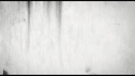 abstract white and gray textured background