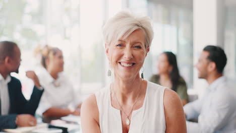 Gesicht,-ältere-Frau-Und-Leiterin-Im-Meeting