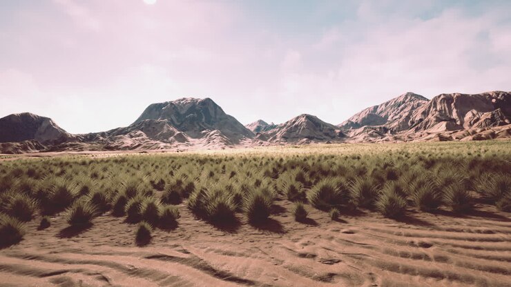 desert landscape in Crater National park