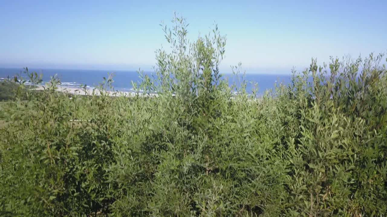 Monte de Santo António med fantastisk og stort hav i bakgrunnen