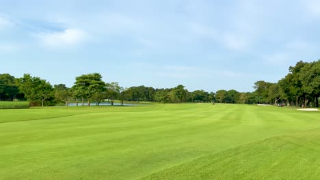 lush green fairway under a clear blue sky