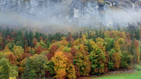 Bella-Toma-Aérea-Del-Bosque-En-Temporada-De-Otoño-Con-Montañas-Al-Fondo