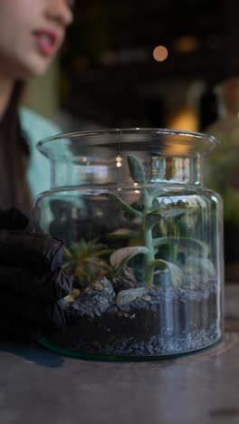 woman caring for a succulent terrarium