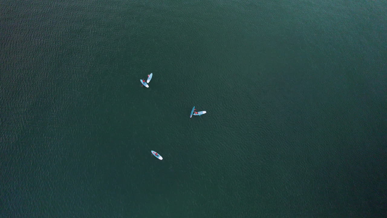 grupo de personas activas que ejercen stand up paddle surf sup en el mar báltico - levantamiento aéreo de arriba hacia abajo