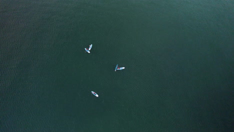 grupo de personas activas que ejercen stand up paddle surf sup en el mar báltico - levantamiento aéreo de arriba hacia abajo