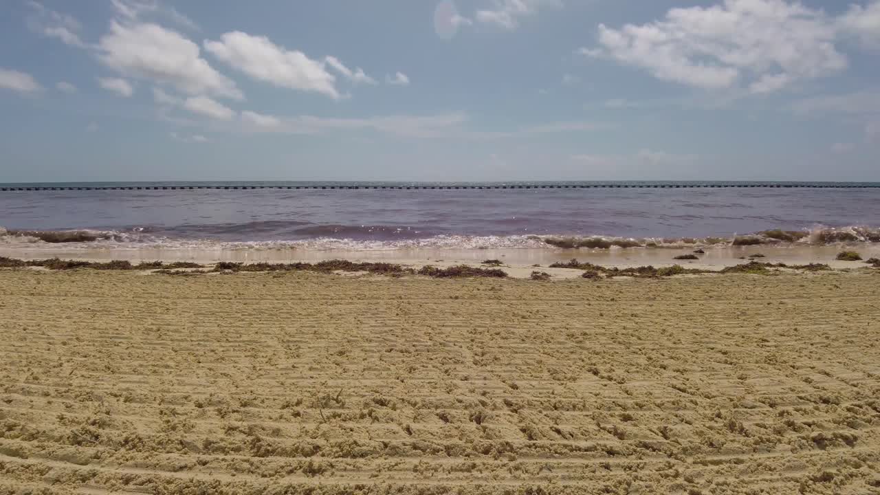 멕시코 만 연안의 해초로 가득한 해변 파도