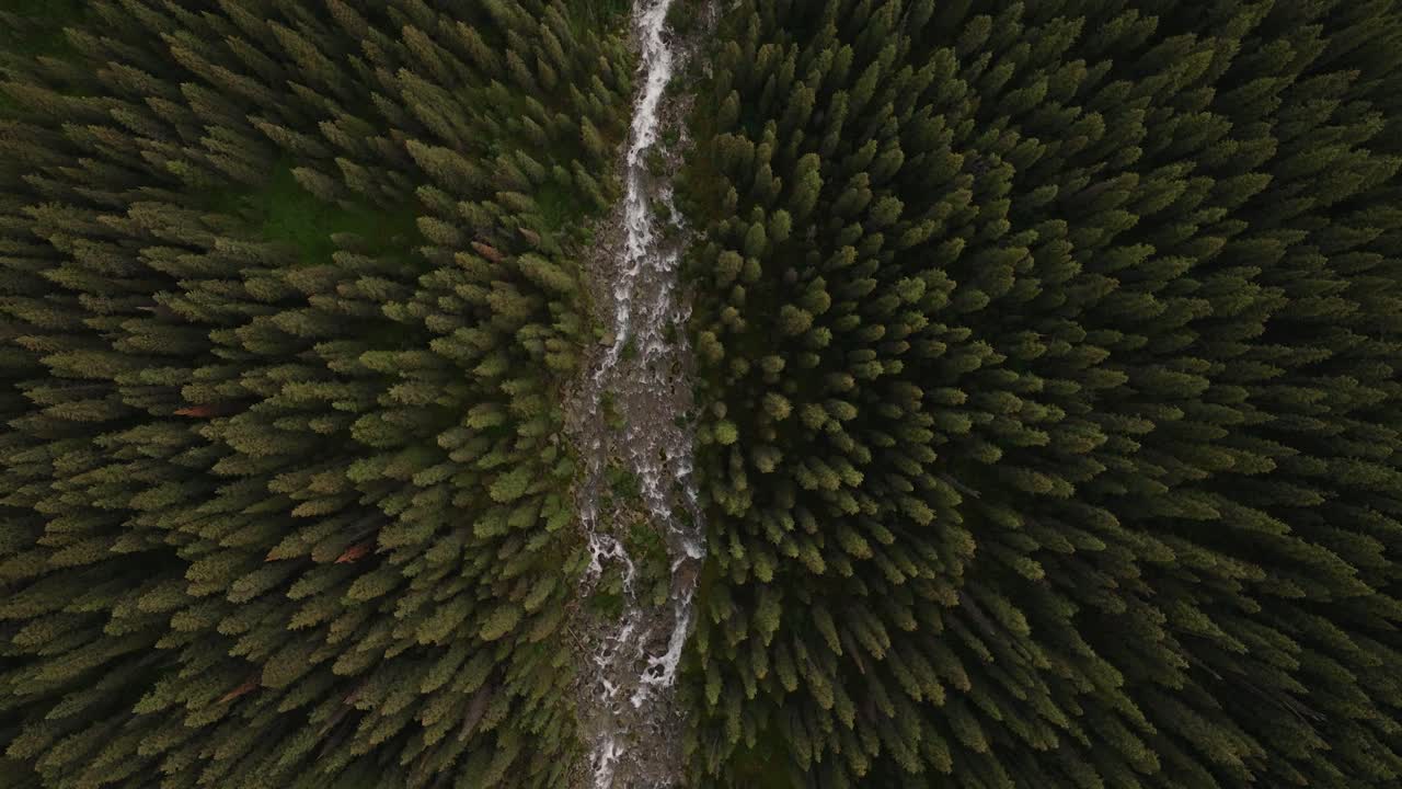 antena de arriba hacia abajo del arroyo entre el bosque de pinos que conduce al lago moraine y las montañas en el parque nacional de banff, alberta, canadá