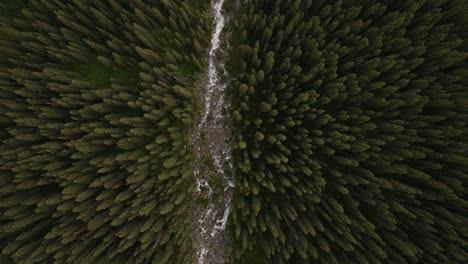 aerial top down of stream between pine tree forest leading to lake moraine and mountains at banff national park, alberta, canada