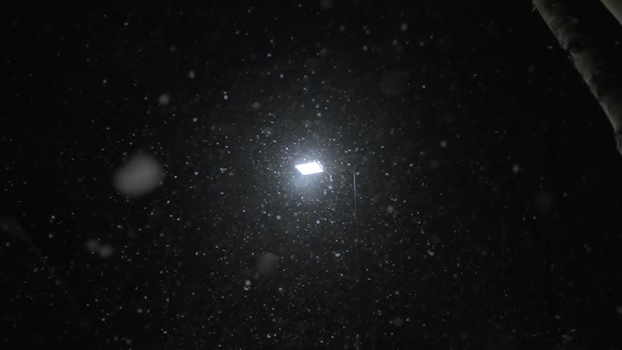 Looking up to the dark sky at night, evening, in the light of a lamp, small snowflakes falling down, slow motion, static shot, copy space