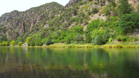 crystal-clear, emerald-like water flows through black canyon of the gunnison national park, colorado. surrounded by lush green trees, gentle waves ripple from a soft breeze, rocky landscapes.