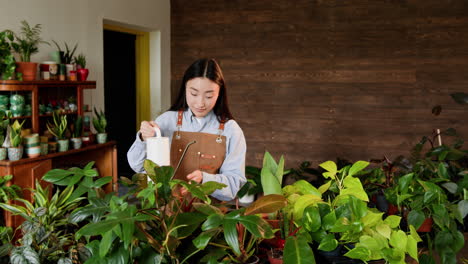 mujer regando plantas de interior en una tienda de plantas