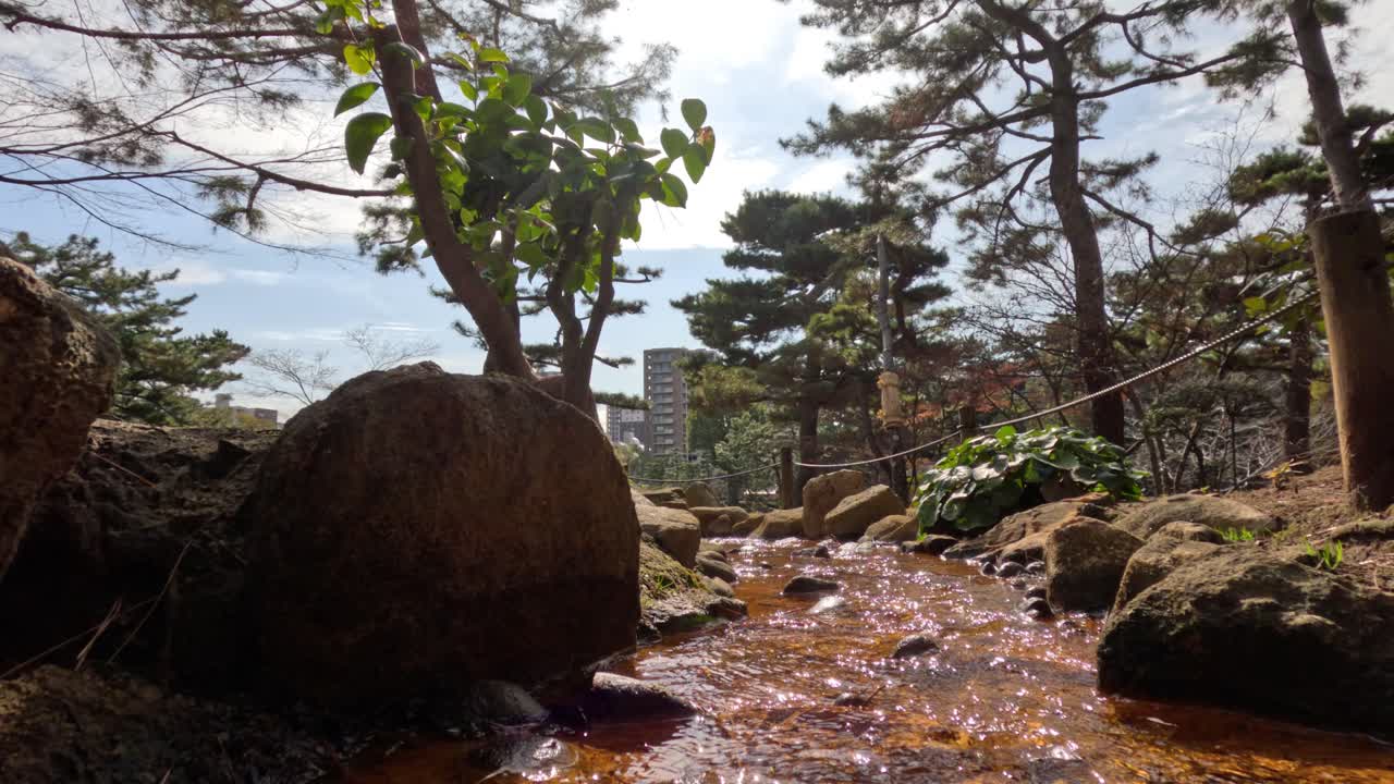 조용한 숲의 하천 위에 빛이 박이는 것