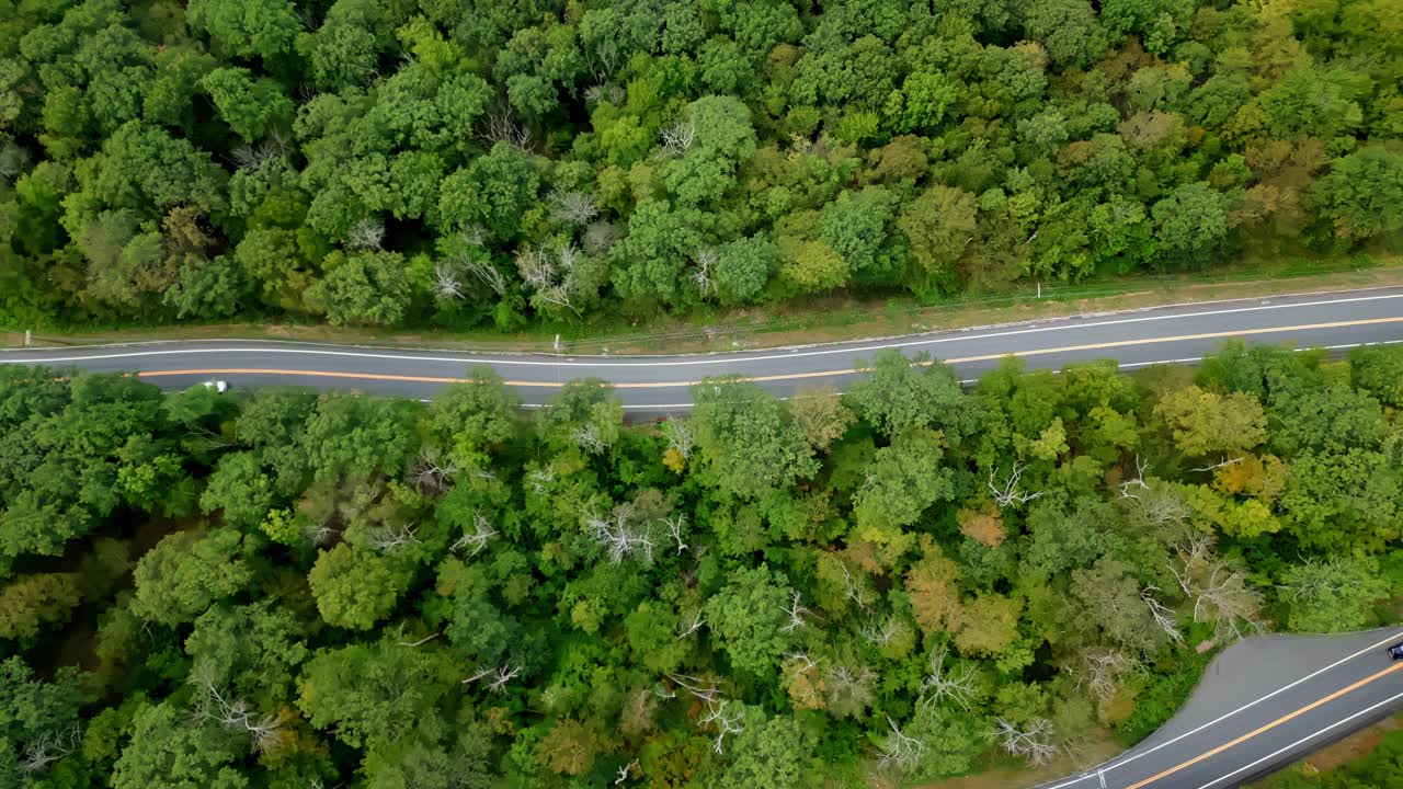 Aerial view of road through vibrant green forest on Mohawk Trail
