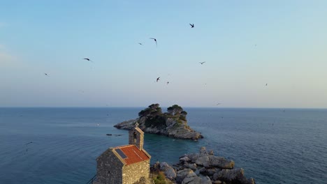 Bird-Island-Escape,-Bird-Attack,-Aerial-Pano