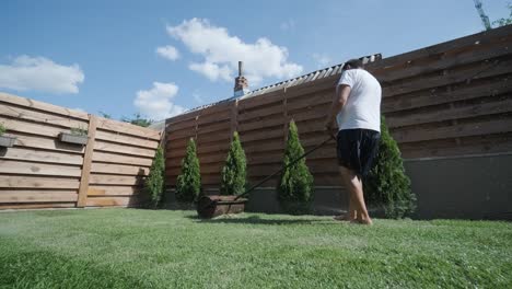 gardener laying lawn in private yard with wooden fence