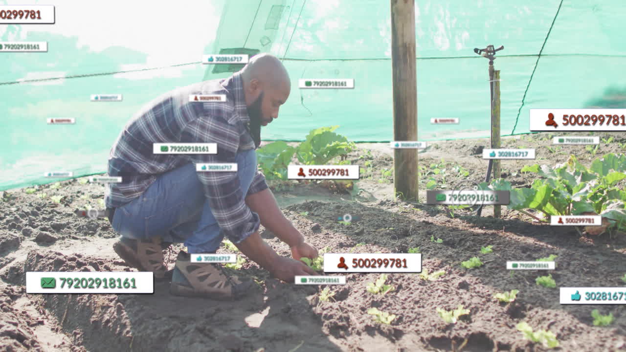 Man kneeling planting seedlings on farm, showing floating data tags above irrigation tubing