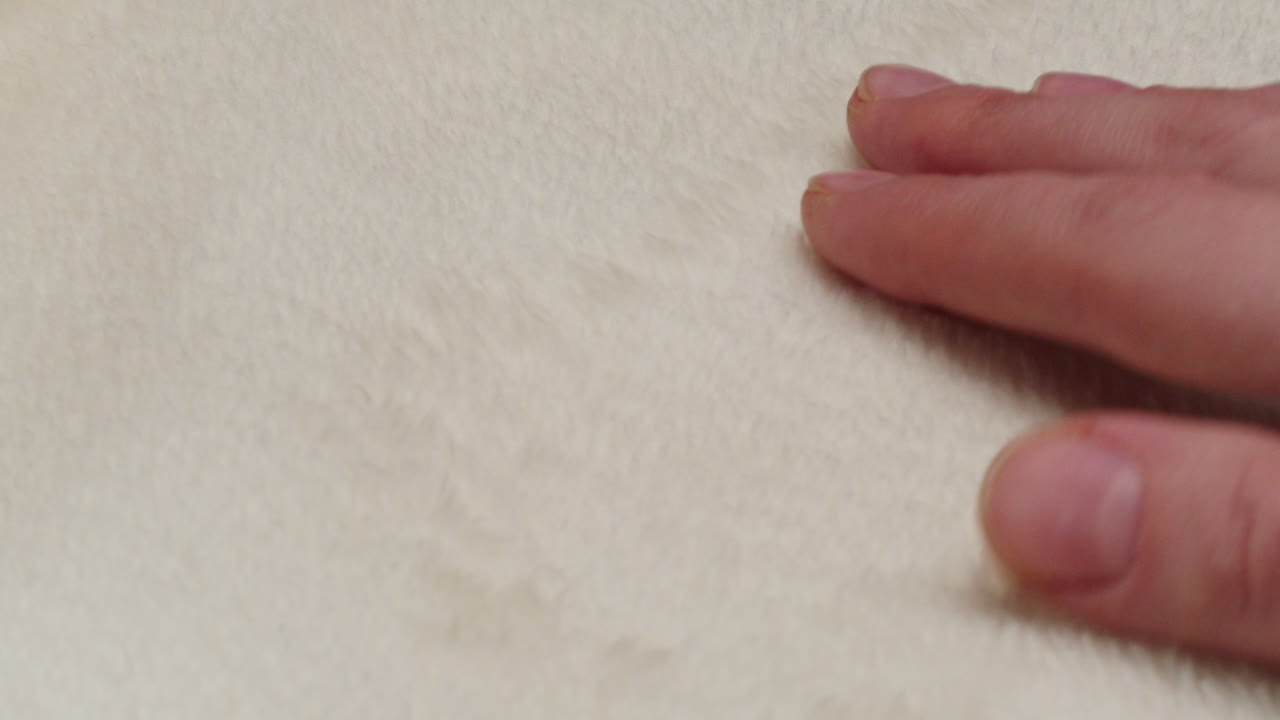Texture di pelliccia e mani