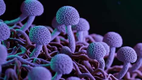 macro photography of glowing fungi